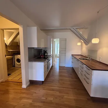 Modern City Center Apartment With History 公寓 *