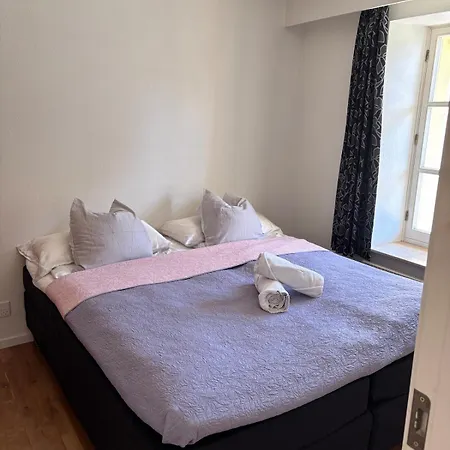 Modern City Center Apartment With History Apartmán