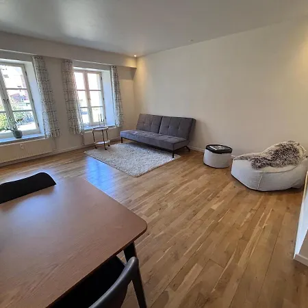 Apartment Modern With History *